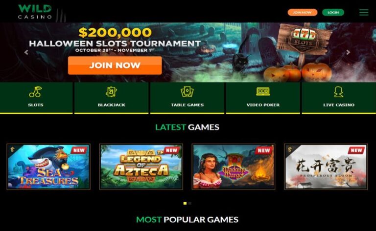 A Comprehensive Review Of Lottery Site: Wild Casino